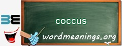 WordMeaning blackboard for coccus